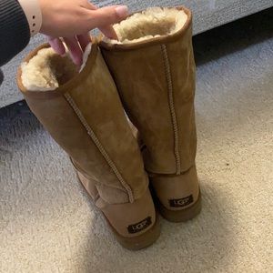 Tall Uggs